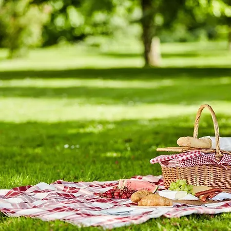 维尔纽斯公寓和套房 *